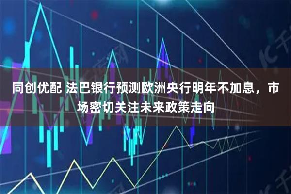 同创优配 法巴银行预测欧洲央行明年不加息，市场密切关注未来政策走向