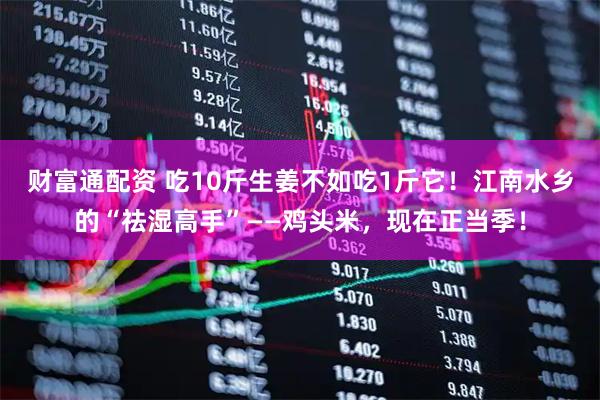 财富通配资 吃10斤生姜不如吃1斤它！江南水乡的“祛湿高手”——鸡头米，现在正当季！