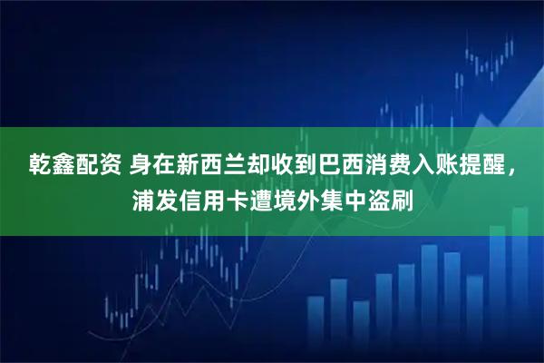 乾鑫配资 身在新西兰却收到巴西消费入账提醒，浦发信用卡遭境外集中盗刷