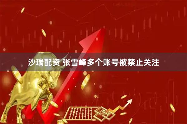 沙瑞配资 张雪峰多个账号被禁止关注